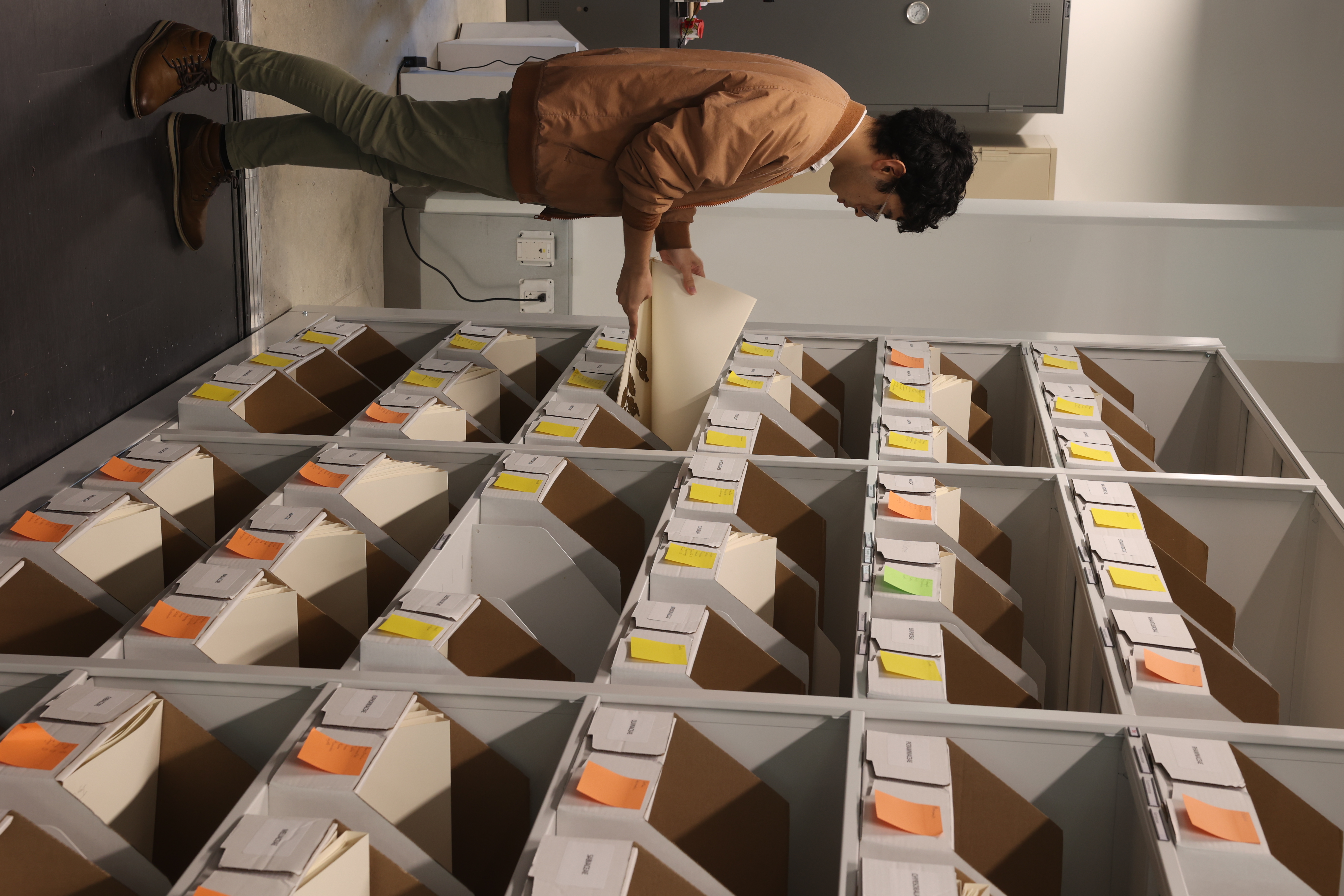 herbarium3.jpg