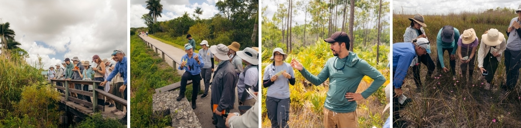Tropical Botany students and instructors studying plants during field excursions in South Florida