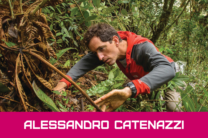 Catenazzi
