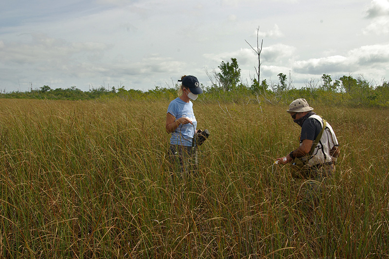 FIU scientists in the field