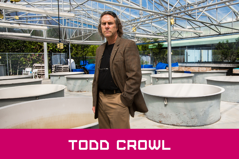 Todd Crowl