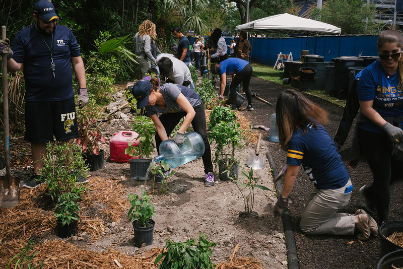 Volunteers help plant new butterfly gardenhttps://panthernow.com/2015/04/20/butterflys-and-flowers-will-be-added-to-mmcs-nature-preserve-to-honor-earth-day/