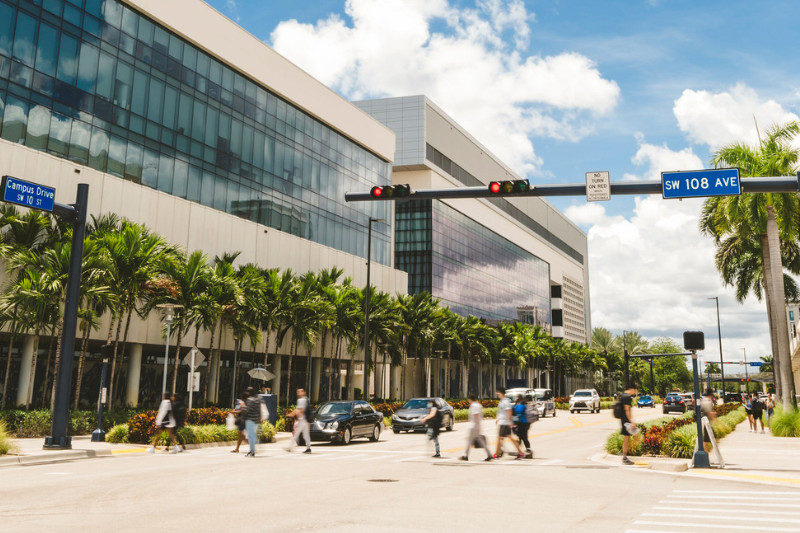 pedestrianaccess.png
