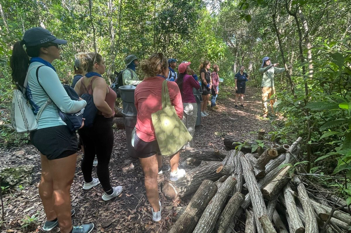 FIU students explore FIU Nature Preserve as part of class