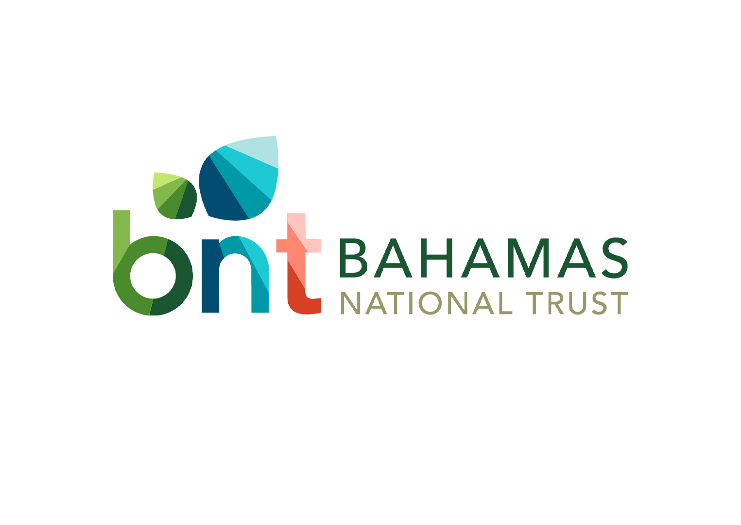 new-bnt-horizontal-logo.jpg