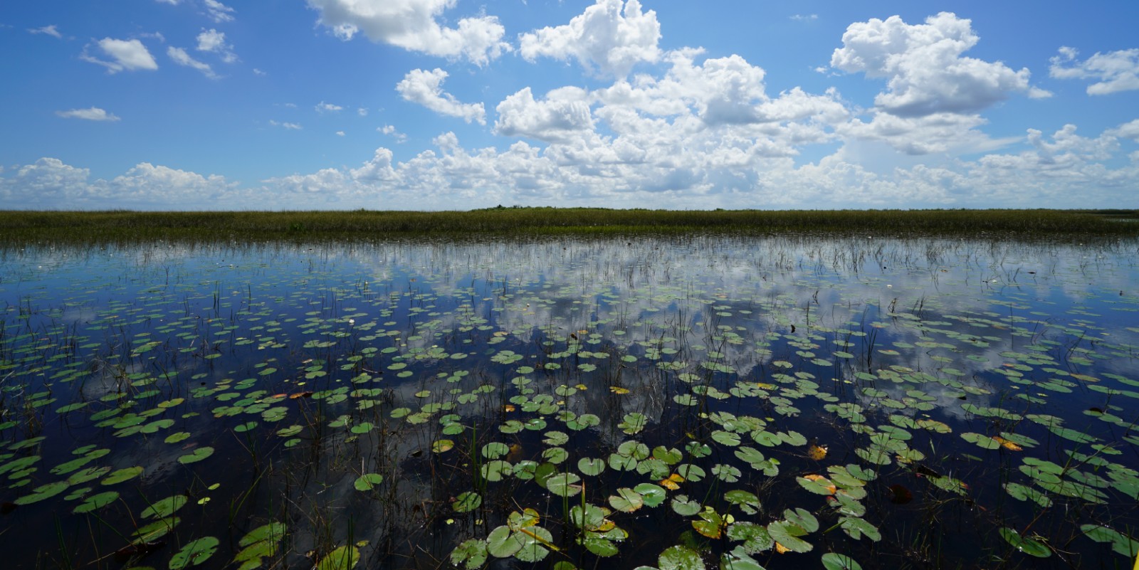 Freshwater FIU Institute of Environment