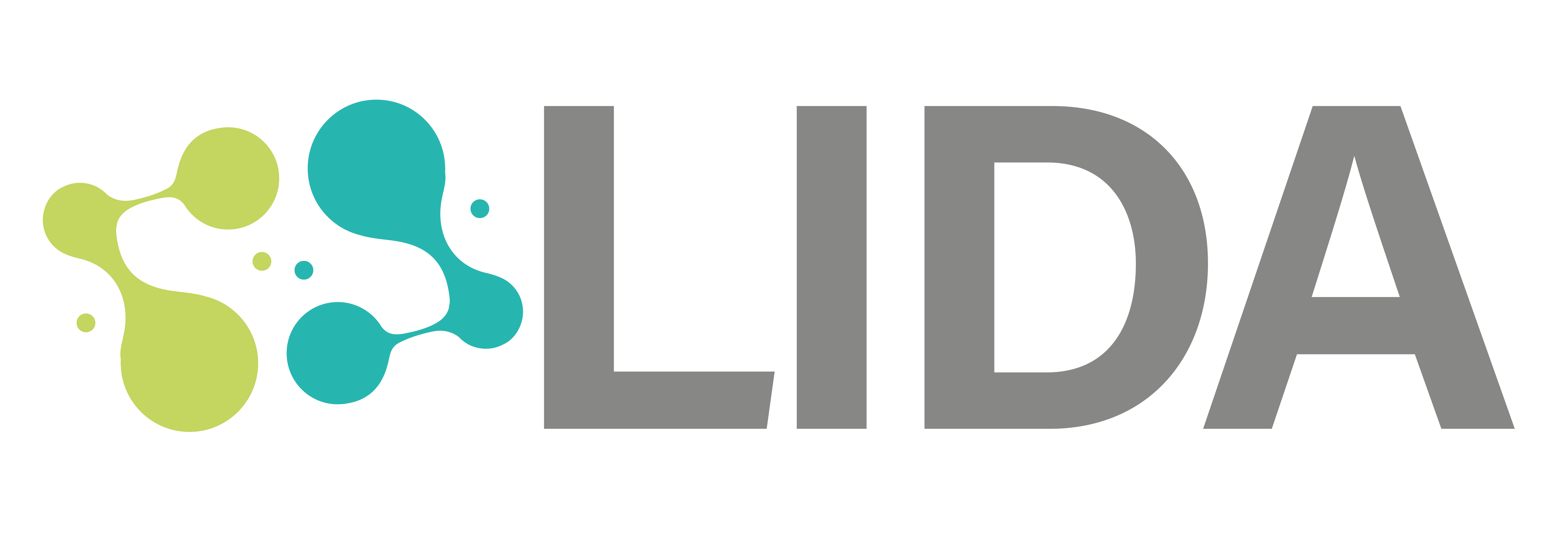 logo_lida.png