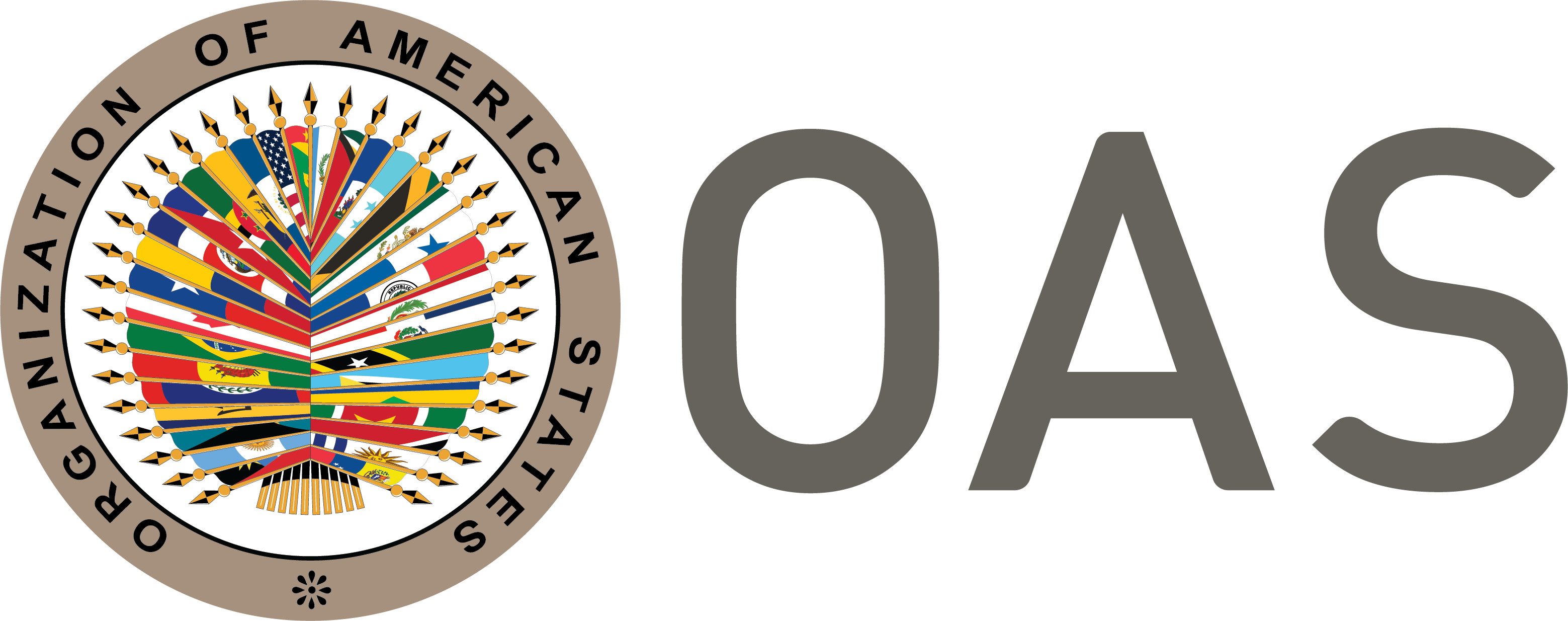 OAS Logo
